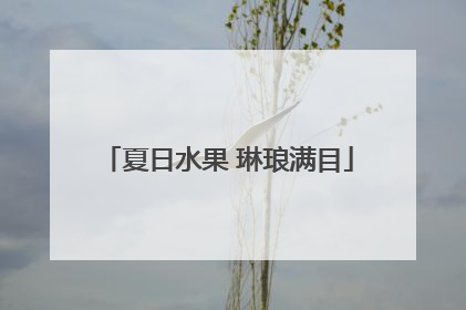 夏日水果 琳琅满目