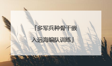 多军兵种骨干嵌入远海编队训练