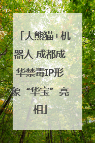 大熊猫+机器人 成都成华禁毒IP形象“华宝”亮相