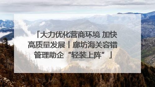 大力优化营商环境 加快高质量发展丨廊坊海关容错管理助企“轻装上阵”