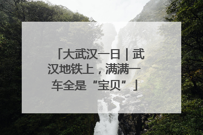 大武汉一日｜武汉地铁上，满满一车全是“宝贝”