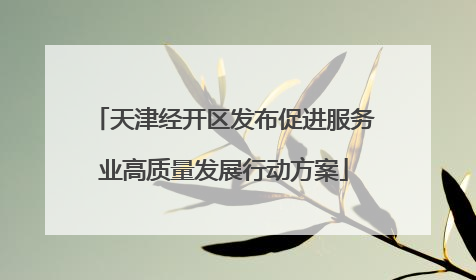 天津经开区发布促进服务业高质量发展行动方案