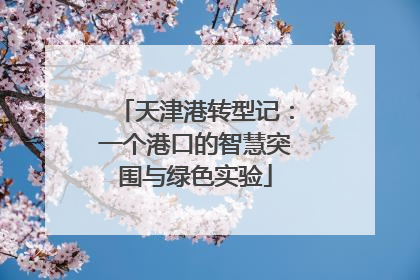 天津港转型记：一个港口的智慧突围与绿色实验