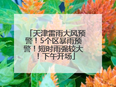 天津雷雨大风预警！5个区暴雨预警！短时雨强较大！下午开场