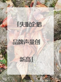 失眠企鹅品牌声量创新高