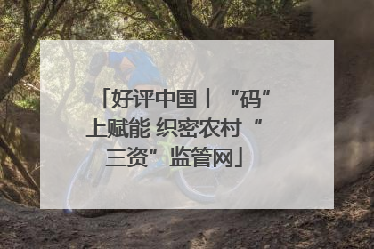 好评中国丨“码”上赋能 织密农村“三资”监管网