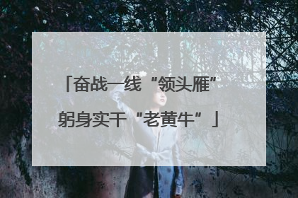 奋战一线“领头雁” 躬身实干“老黄牛”