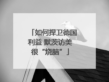 如何捍卫德国利益 默茨访美很“烧脑”
