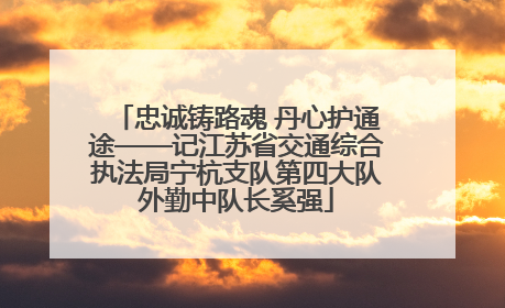 忠诚铸路魂 丹心护通途——记江苏省交通综合执法局宁杭支队第四大队外勤中队长奚强