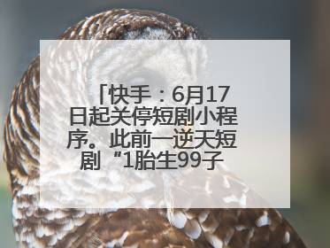 快手：6月17日起关停短剧小程序。此前一逆天短剧“1胎生99子”被全网下架