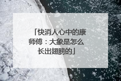快消人心中的康师傅：大象是怎么长出翅膀的