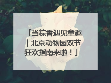 当粽香遇见童趣｜北京动物园双节狂欢指南来啦！