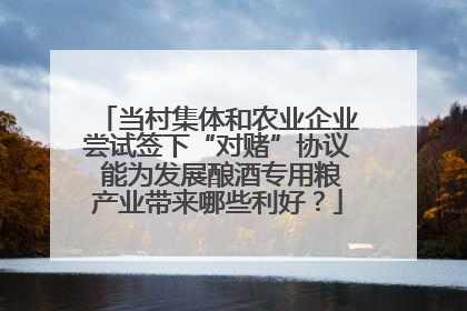 当村集体和农业企业尝试签下“对赌”协议 能为发展酿酒专用粮产业带来哪些利好？