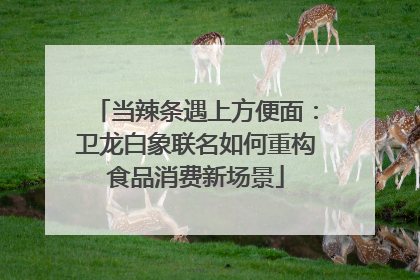 当辣条遇上方便面：卫龙白象联名如何重构食品消费新场景