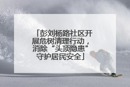 彭刘杨路社区开展危树清理行动，消除“头顶隐患”守护居民安全