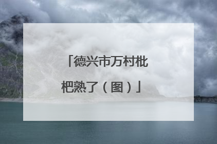 德兴市万村枇杷熟了（图）
