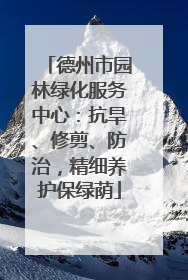 德州市园林绿化服务中心：抗旱、修剪、防治，精细养护保绿荫