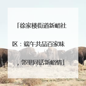 徐家楼街道新峪社区：端午共品百家味，邻里同话新峪情
