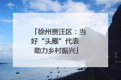 徐州贾汪区：当好“头雁”代表 助力乡村振兴