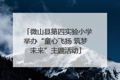 微山县第四实验小学举办“童心飞扬 筑梦未来”主题活动
