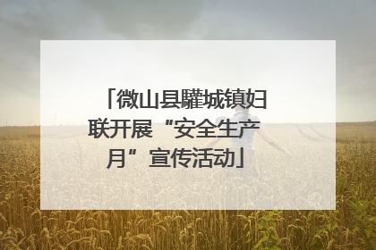 微山县驩城镇妇联开展“安全生产月”宣传活动