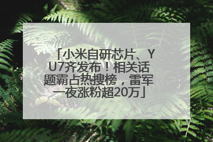 小米自研芯片、YU7齐发布！相关话题霸占热搜榜，雷军一夜涨粉超20万