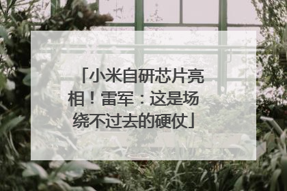 小米自研芯片亮相！雷军：这是场绕不过去的硬仗