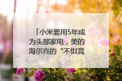 小米要用5年成为头部家电，美的海尔真的“不惧竞争”？｜热财经