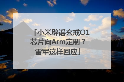 小米辟谣玄戒O1芯片向Arm定制？雷军这样回应