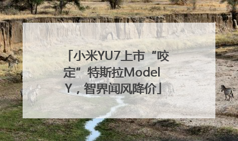 小米YU7上市“咬定”特斯拉Model Y，智界闻风降价