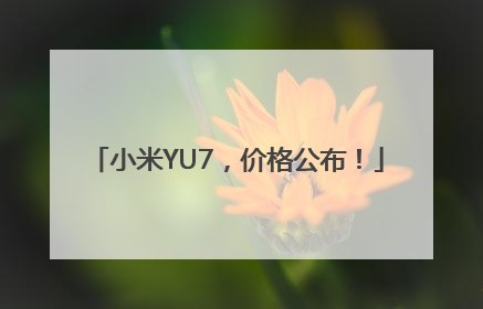 小米YU7，价格公布！