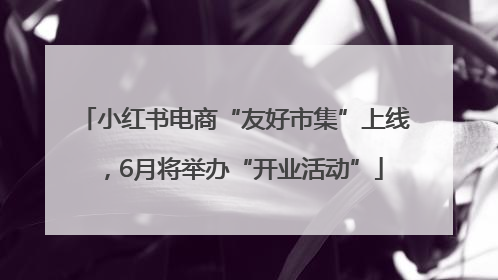 小红书电商“友好市集”上线，6月将举办“开业活动”