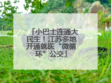 小巴士连通大民生！江苏多地开通就医“微循环”公交