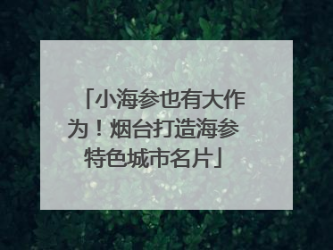 小海参也有大作为！烟台打造海参特色城市名片