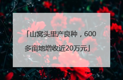 山窝头里产良种，600多亩地增收近20万元