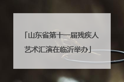 山东省第十一届残疾人艺术汇演在临沂举办