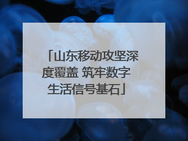 山东移动攻坚深度覆盖 筑牢数字生活信号基石