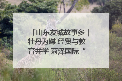 山东友城故事多｜牡丹为媒 经贸与教育并举 菏泽国际“朋友圈”扩容升级