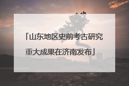 山东地区史前考古研究重大成果在济南发布