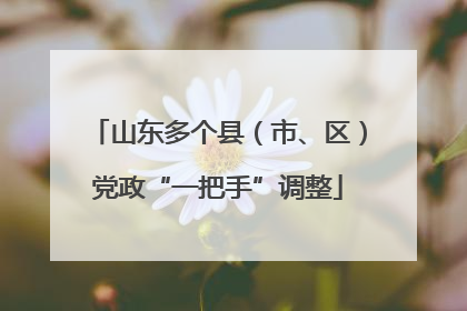 山东多个县（市、区）党政“一把手”调整