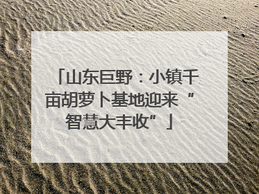 山东巨野：小镇千亩胡萝卜基地迎来“智慧大丰收”