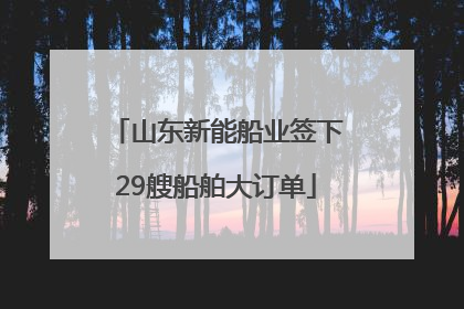 山东新能船业签下29艘船舶大订单