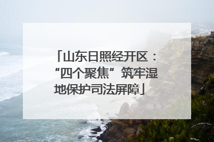 山东日照经开区：“四个聚焦”筑牢湿地保护司法屏障