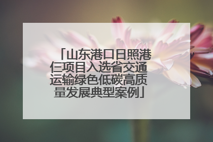 山东港口日照港仨项目入选省交通运输绿色低碳高质量发展典型案例