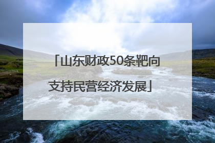 山东财政50条靶向支持民营经济发展