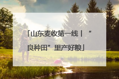 山东麦收第一线丨“良种田”里产好粮