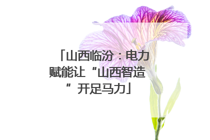 山西临汾：电力赋能让“山西智造”开足马力