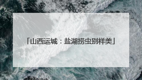 山西运城：盐湖捞虫别样美