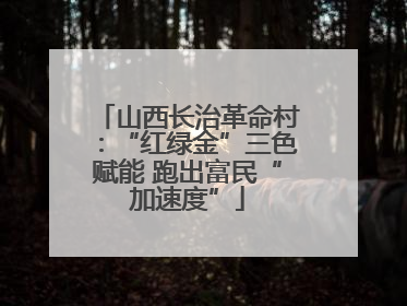 山西长治革命村：“红绿金”三色赋能 跑出富民“加速度”