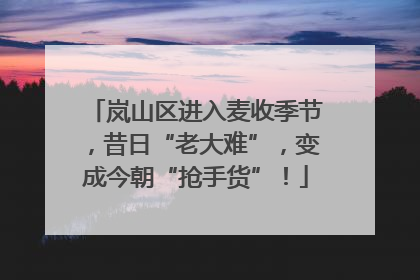岚山区进入麦收季节，昔日“老大难”，变成今朝“抢手货”！